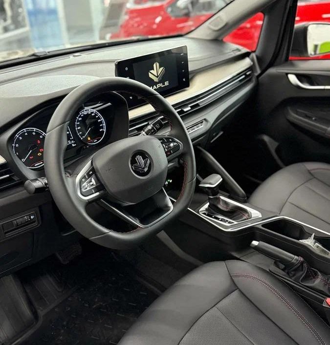 Livan X3 Pro Luxury 1.5 CVT, 2024 фото 7