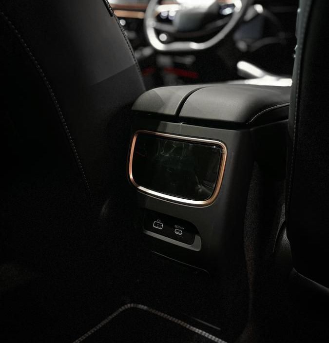 EXEED VX President 7 мест 2.0 АКПП, 2024 фото 7