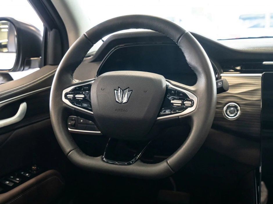 Oting Paladin Премиум 2.0 АКПП, 2024 фото 5