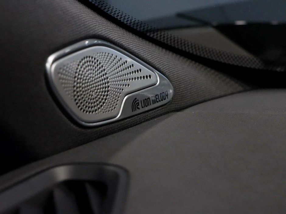 EXEED VX President 7 мест 2.0 АКПП, 2024 фото 10