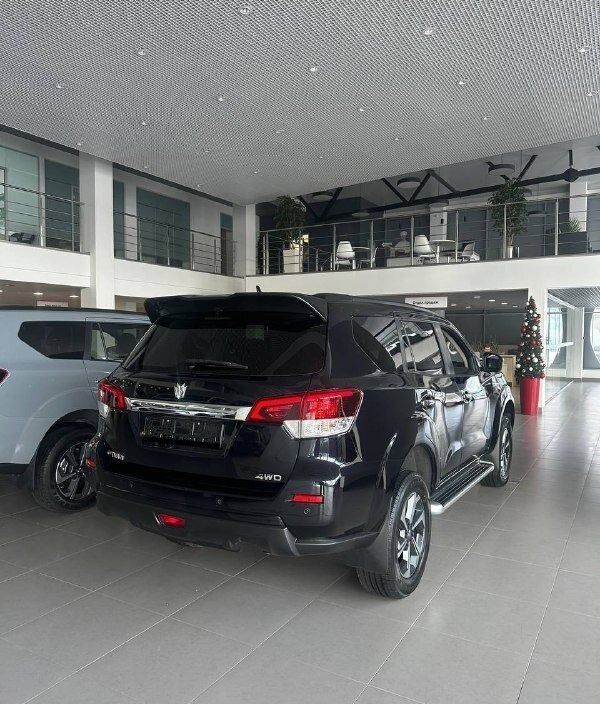 Oting Paladin Престиж 2.0 АКПП, 2024 фото 2