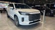 EXEED VX President 7 мест 2.0 АКПП, 2024 превью 2